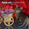 Сомалийские котята